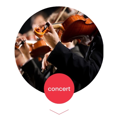 Elbphilharmonie c daniel dittus